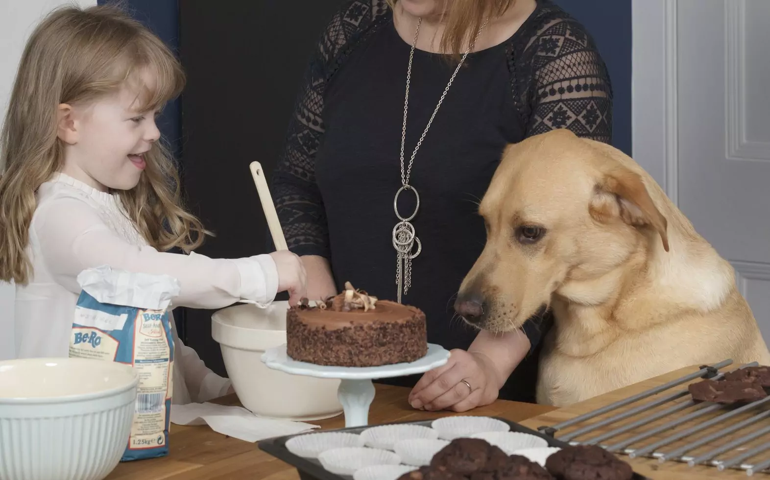 Czy czekolada jest szkodliwa dla psów? Powody, dla których psy nie powinny jeść czekolady